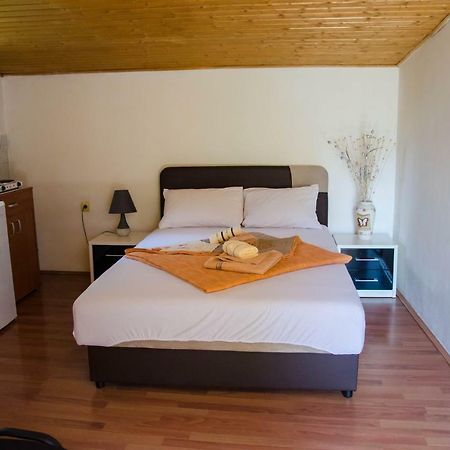 פודגוריצה Studio-Apartman Milena מראה חיצוני תמונה